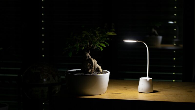 2881caf8884326ba4ac1e5c0a5057a80